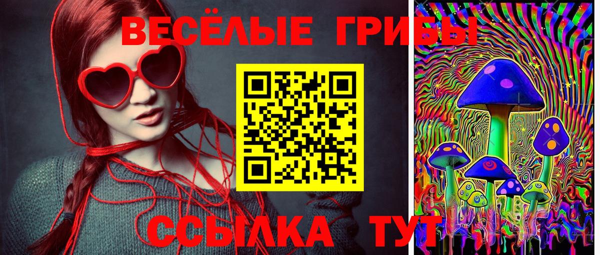 Галлюциногенные грибы ЛСД  Псилоцибиновые грибы Psilocybe  как найти   Донской  Вход с VPN 