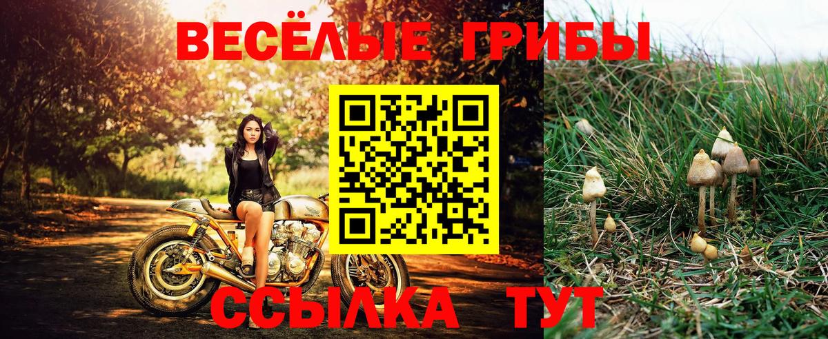 Псилоцибиновые грибы мухоморы Донской
